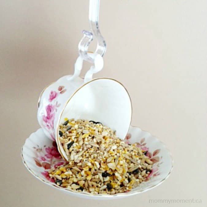 Tea Cup Feeder