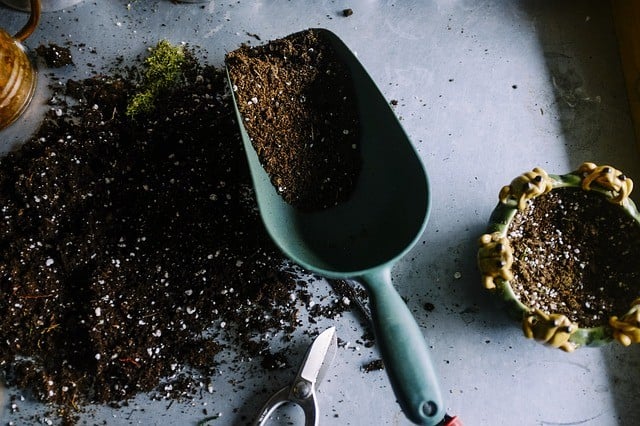 How to Sterilize Soil