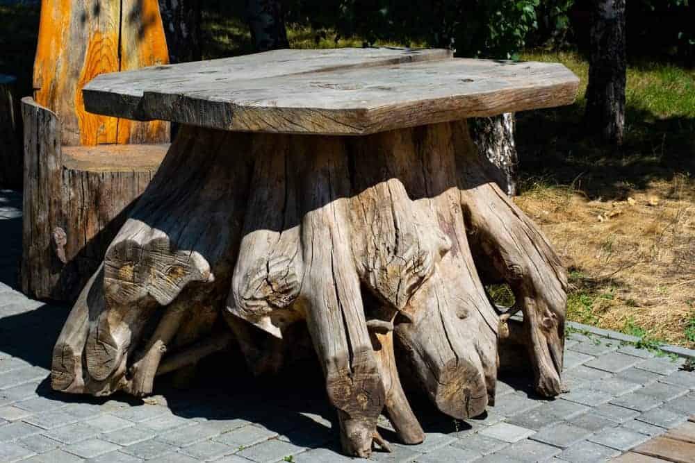 What to Do With Your Tree Stump