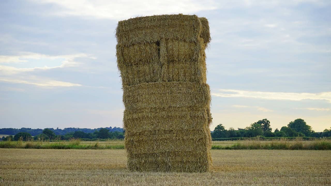 Source Your Bales