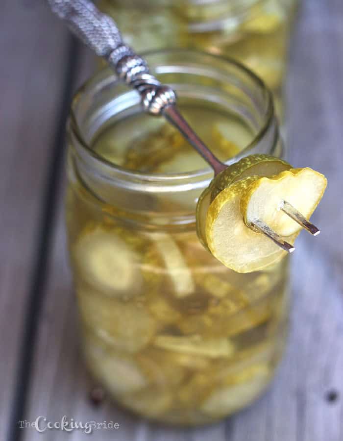 Hamburger Dill Pickle Slices