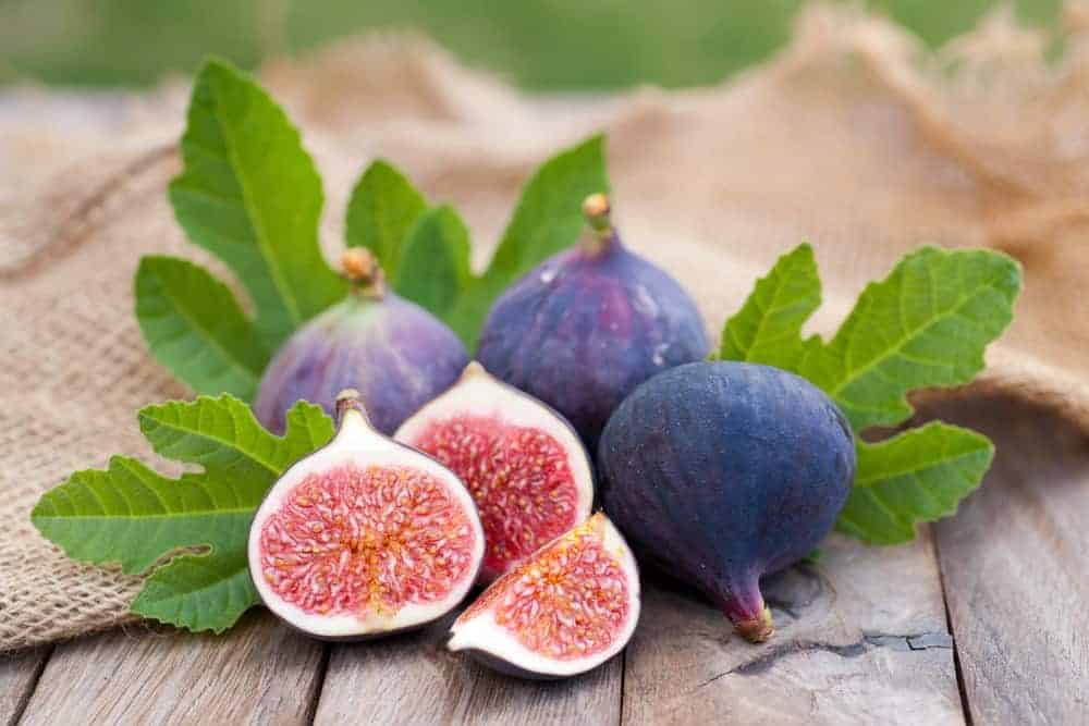 Fig