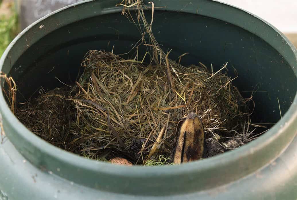 Why Compost?