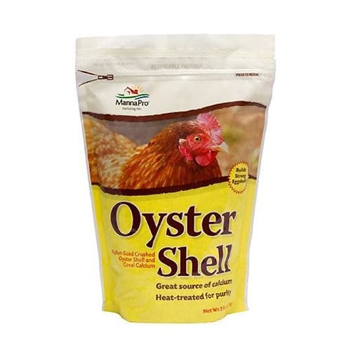 Oyster Shell