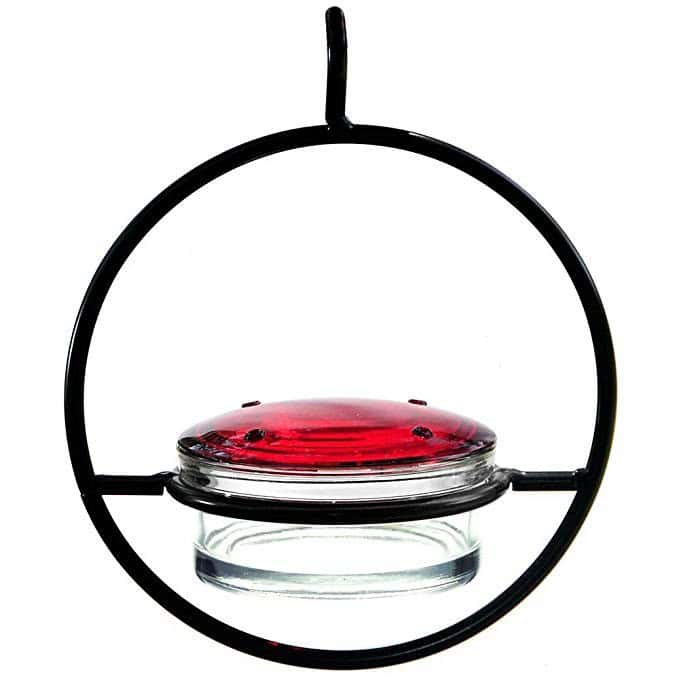 We Love Hummingbirds Best Small Hanging Hummingbird Feeder