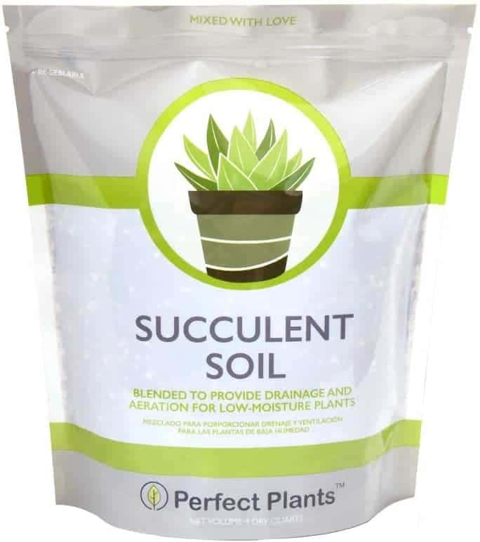 Perfect Plants 4-Quart Succulent Soil Mix