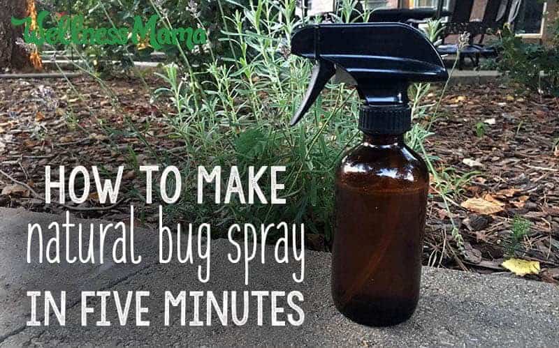 Vinegar Insect Repellent