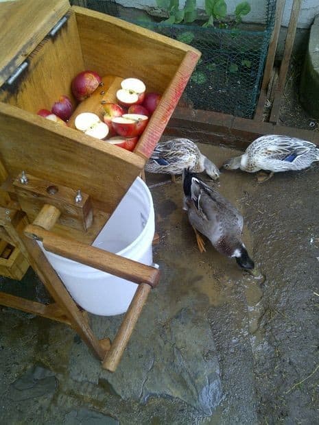 Apple Cider Press with Grinder