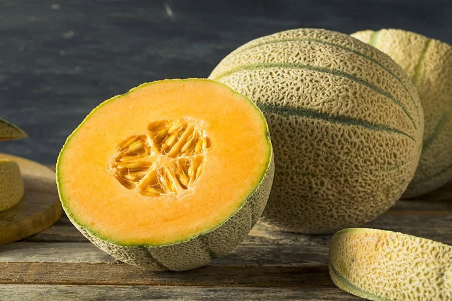 Melon Varieties