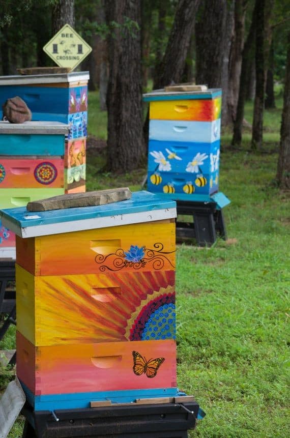 The Beehives Add Character