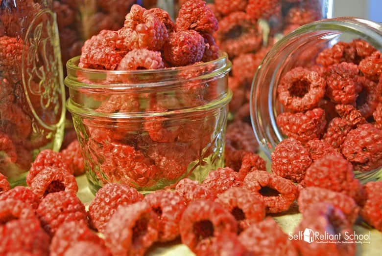 Dehydrated Raspberries