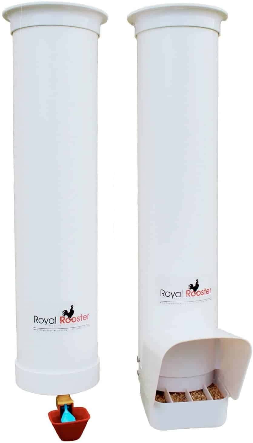 Royal Rooster Chicken Feeder and Waterer Set