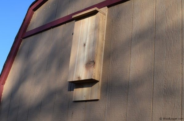 The Re-do Bat House