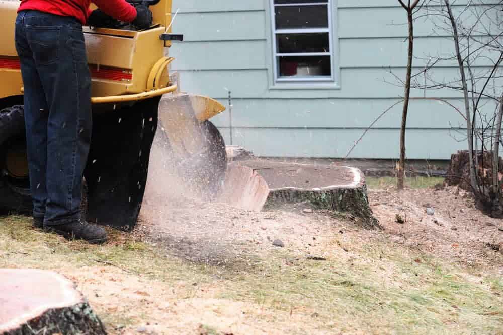 Use a Stump Grinder