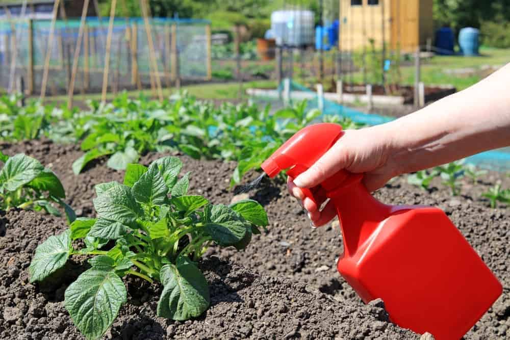 Insecticidal Soaps