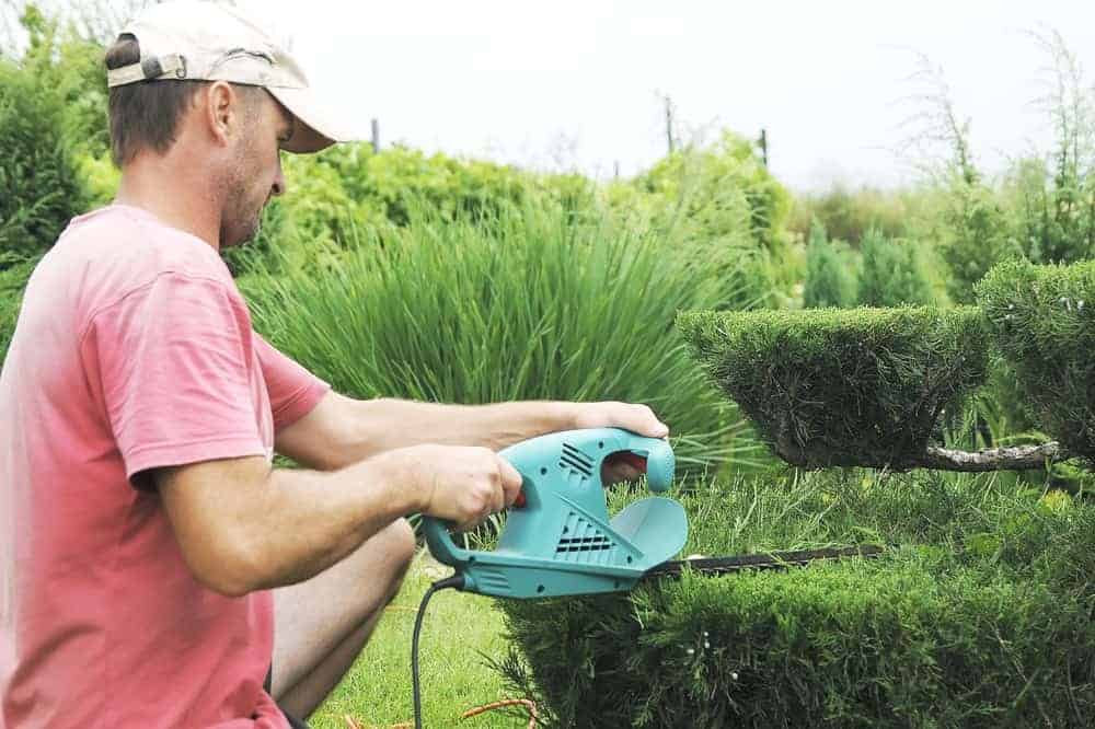 Practical Pruning