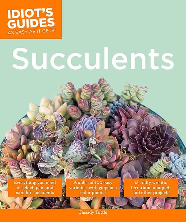 Idiot’s Guide to Succulents by Cassidy Tuttle