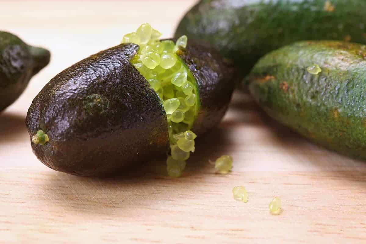 Finger Limes