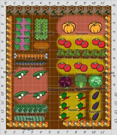 The Flower/ Vegetable Layout