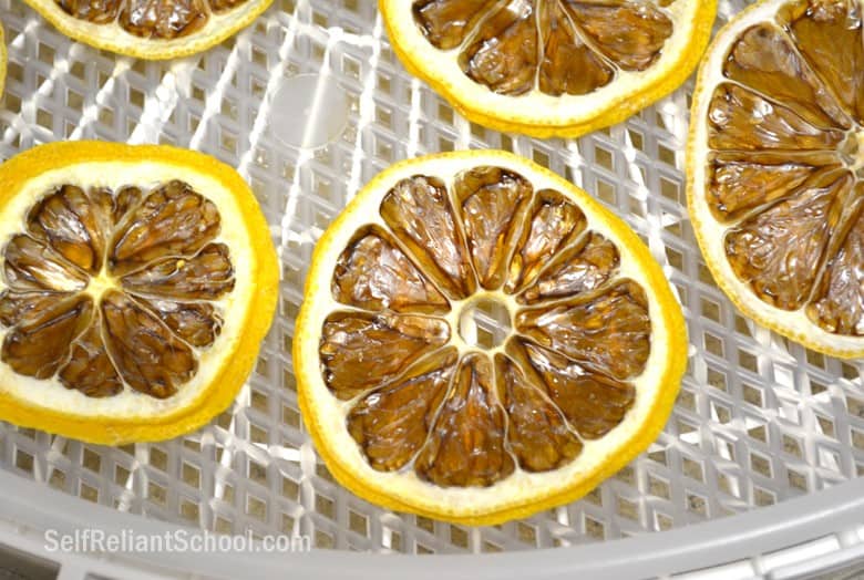 Dehydrated Lemon