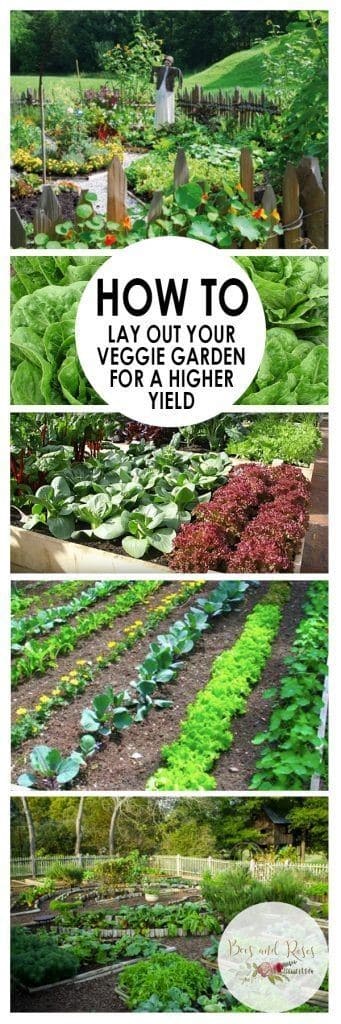 High Yield Veggie Garden