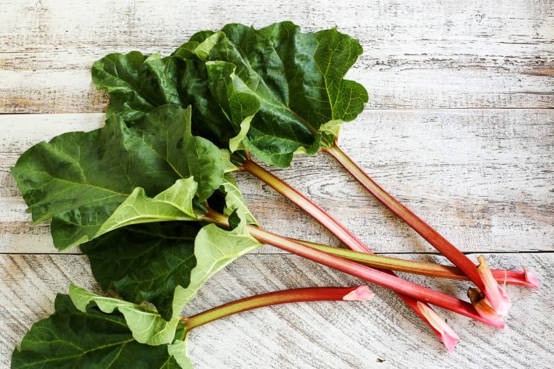 Rhubarb