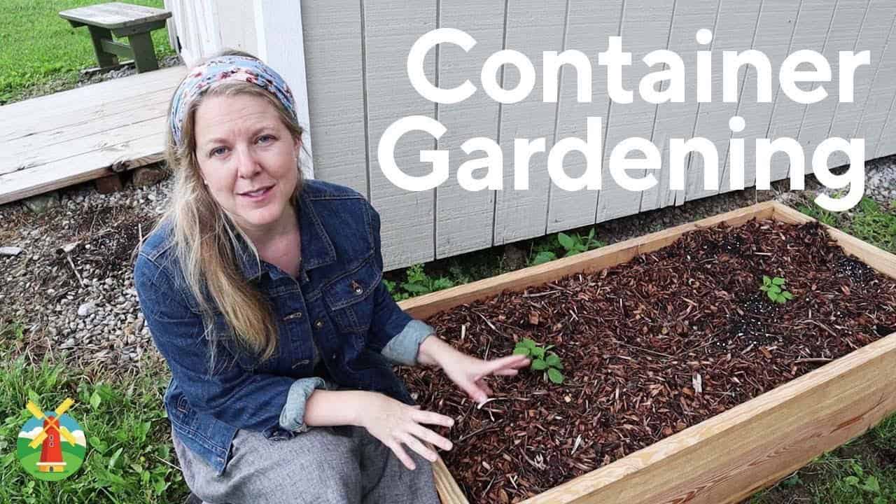 Planting a Container Garden