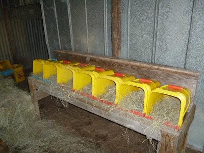 Kitty Litter Nesting Boxes