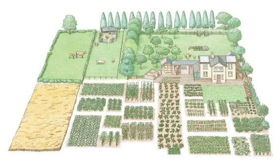 The Family Food Garden Layout