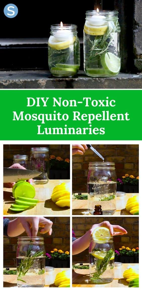 Mosquito Repellent Luminaries