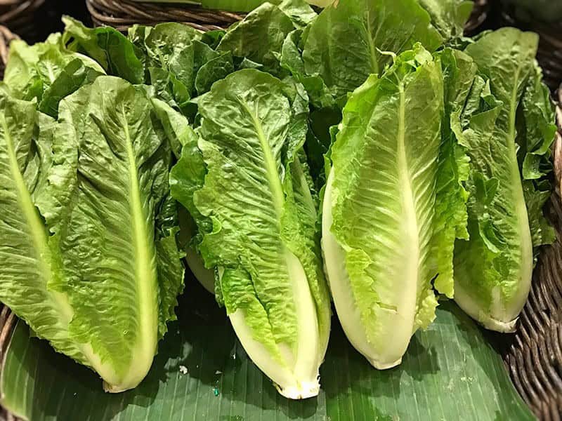 Lettuce & Leafy Greens – Ethylene Sensitive