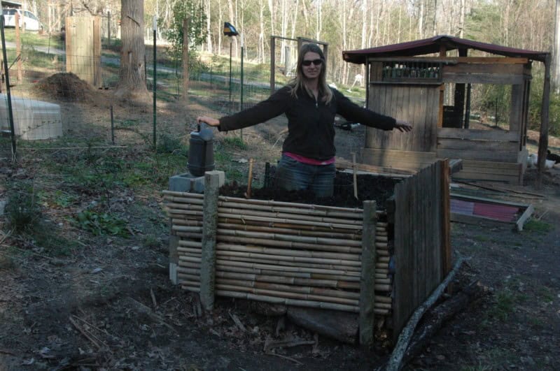 Garden in Raised Beds