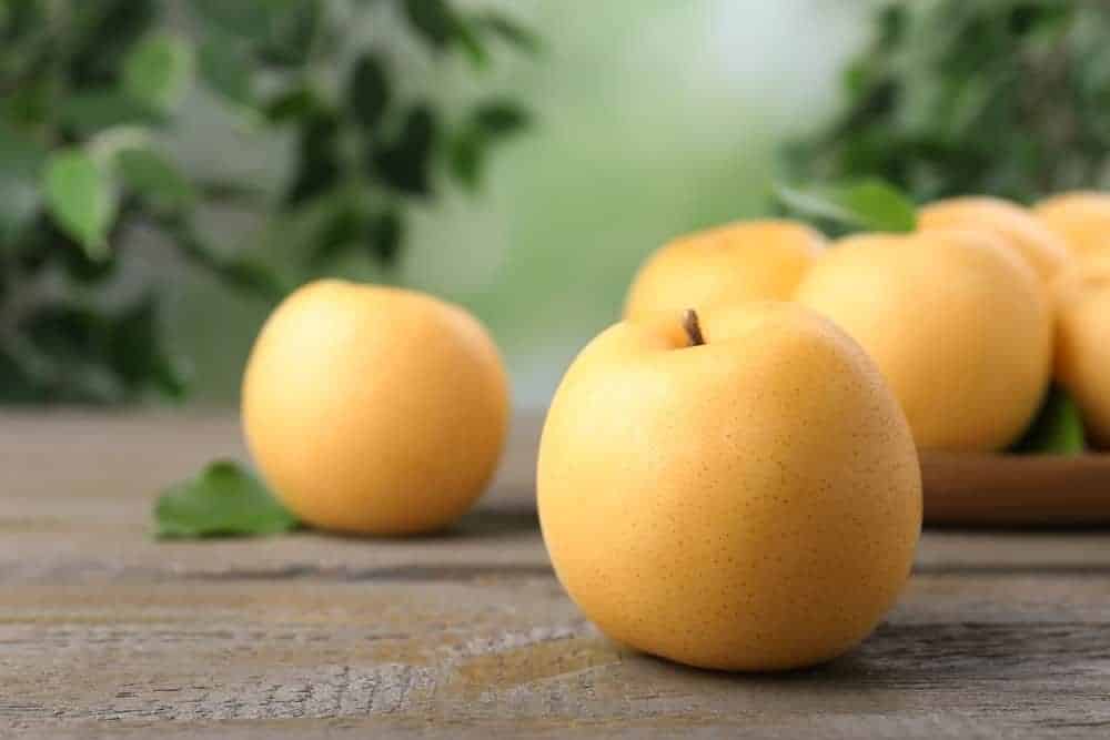 Asian Pear