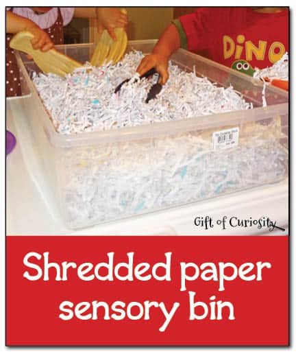 Sensory Bin