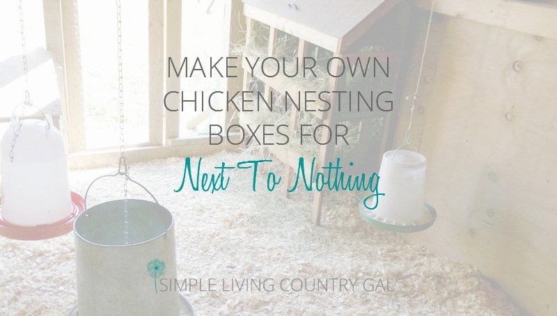 Building Your Nesting Boxes for Next to Nothing