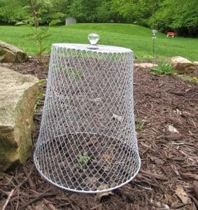 Decorative and Functional Cloches