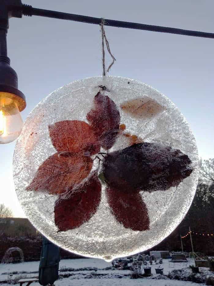 Hanging Ice Art