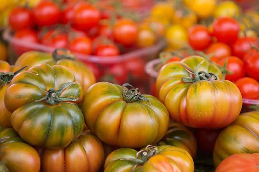 Heirloom Tomatoes