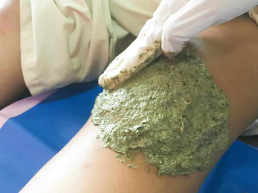 Poultice for Treating Insect Bites