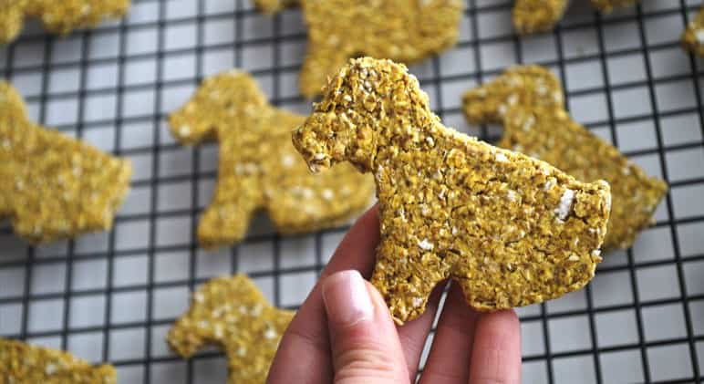 Anti-inflammatory Dog Biscuit