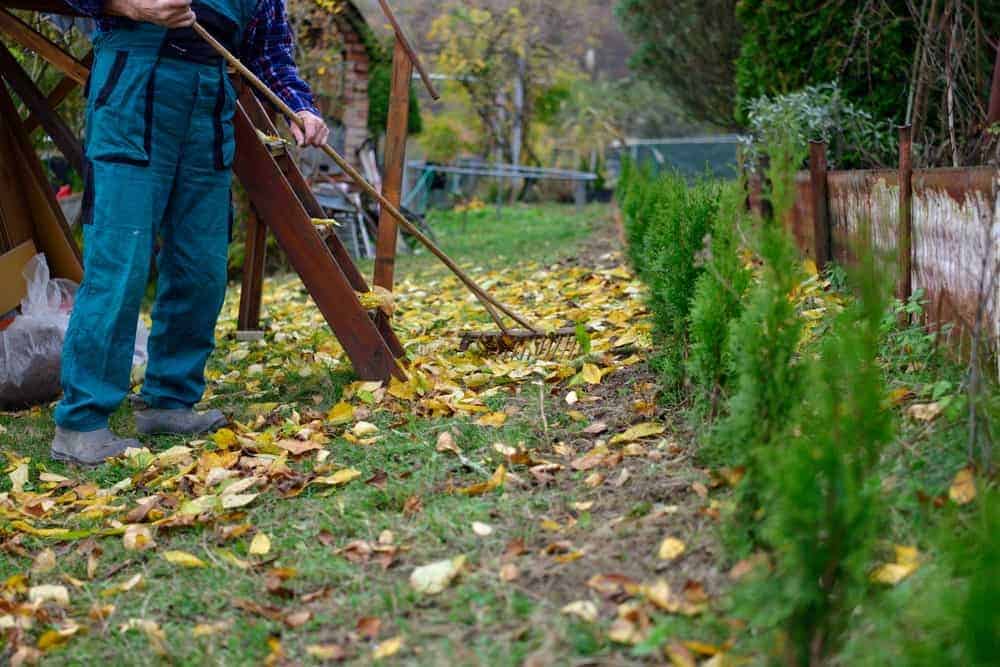 Clean Up the Garden