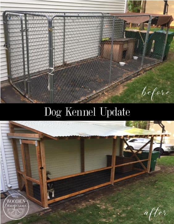 The Dog Kennel Update