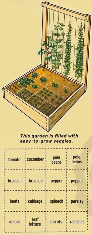 Pallet Garden Plan