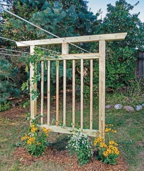 Trellis Clothesline