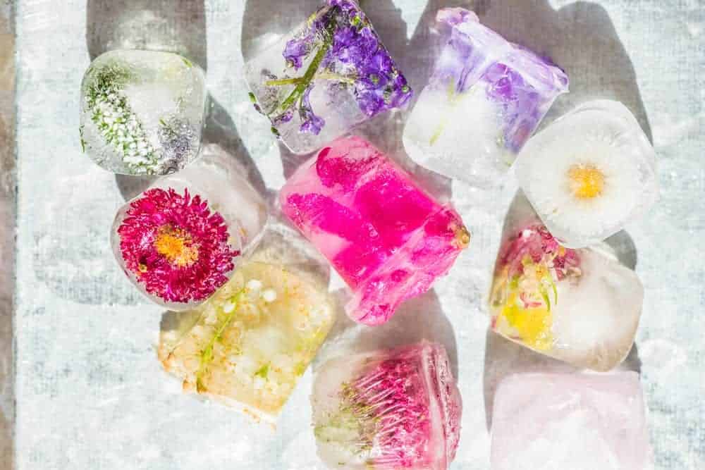 Floral Ice Shapes