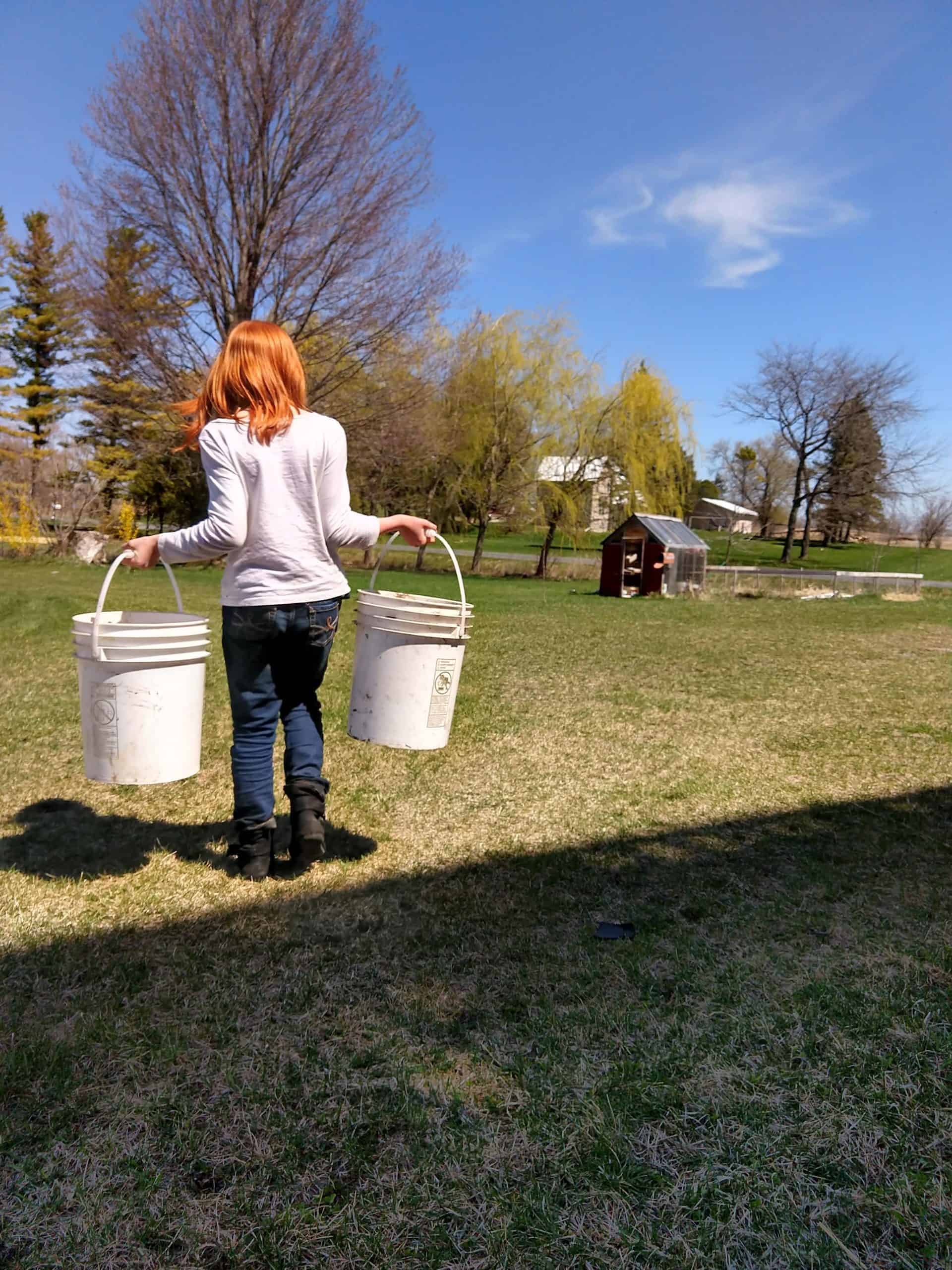 Five Gallon Pails