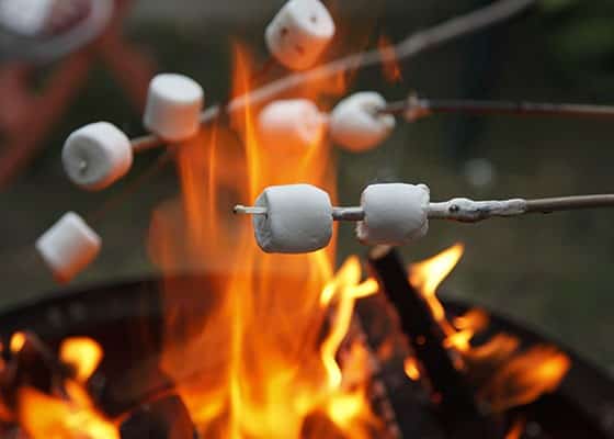 Method 2: Cooking Food on a Stick