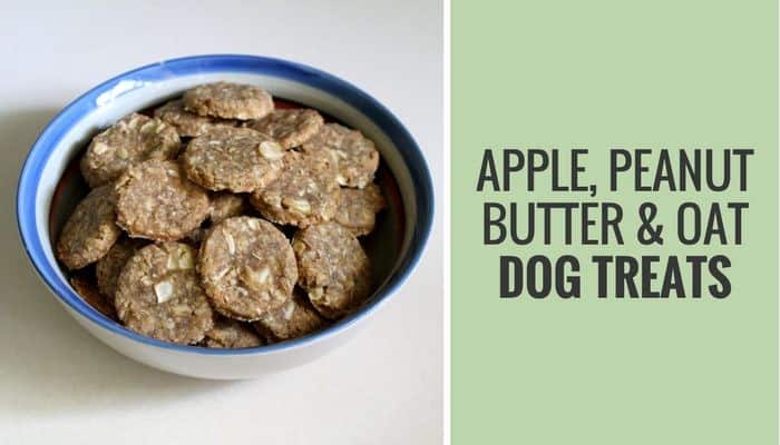 Apple, Peanut Butter, and Oat Dog Treats