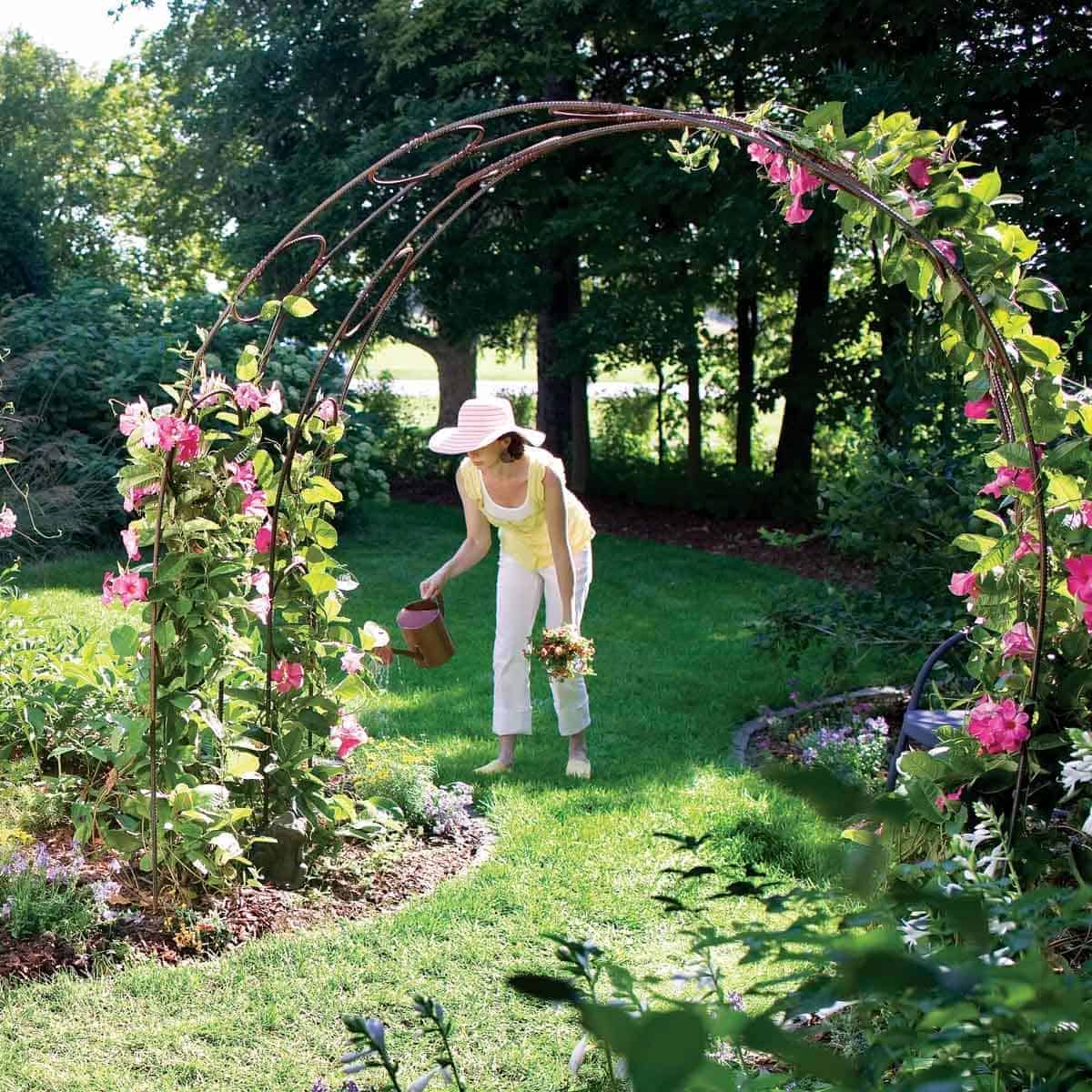 Garden Arch for Climbing Plants