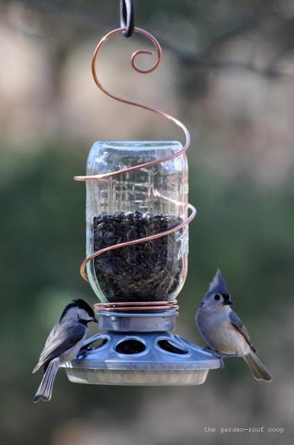 Mason Jar Feeder